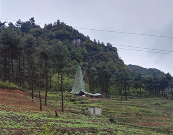 把脈“黔”鋅地，問診開良方
